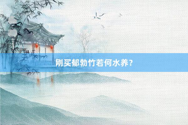刚买郁勃竹若何水养？
